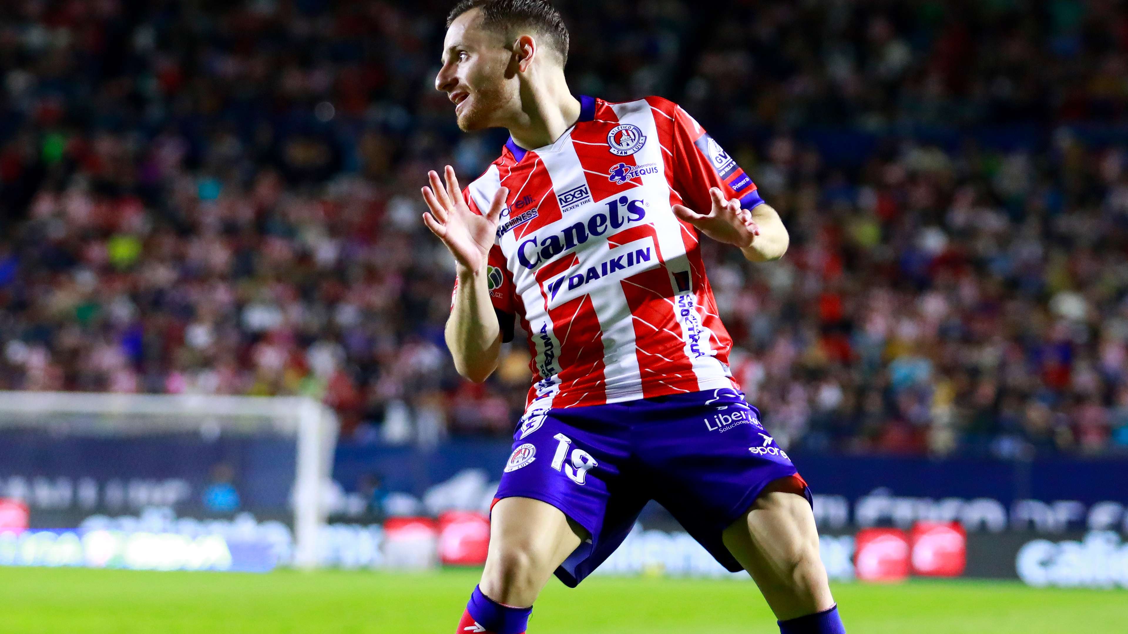 势和无畏的 势和无畏的