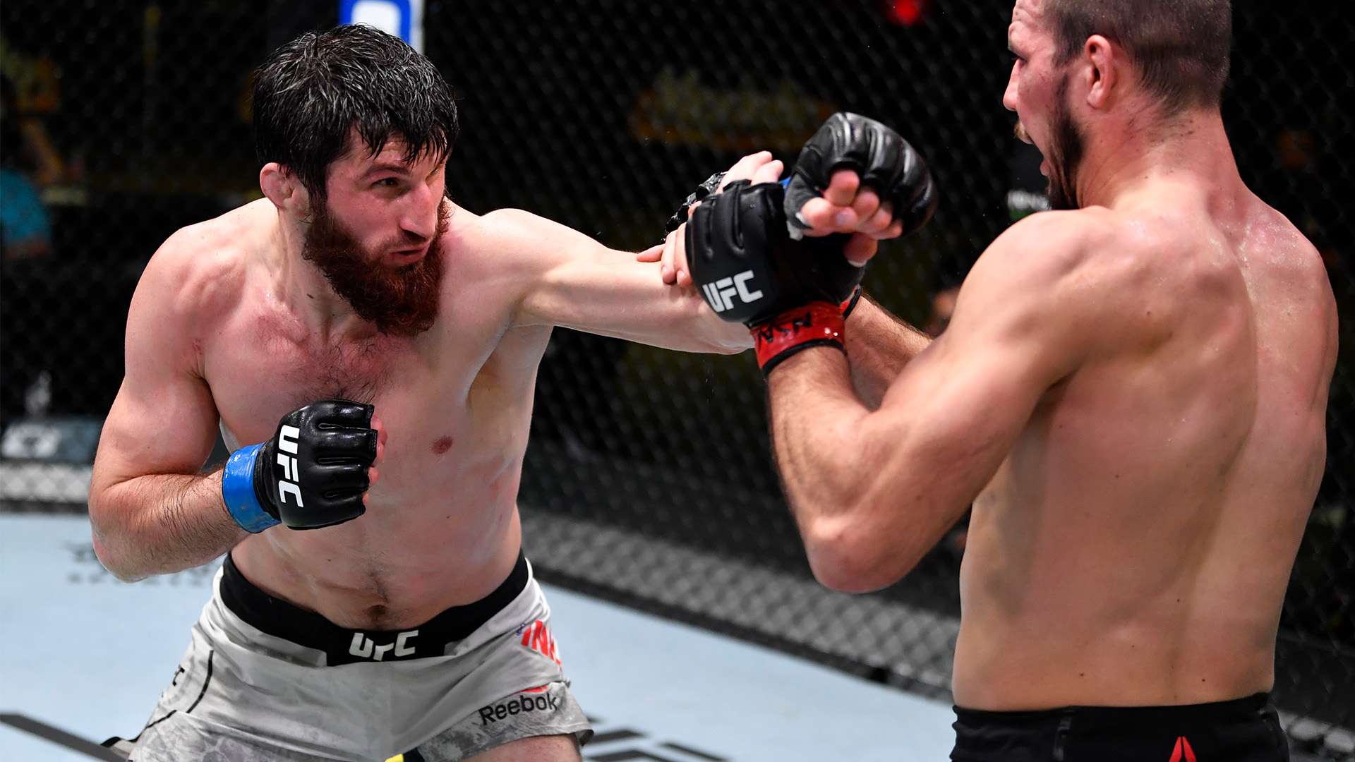 他在前幾個 他在前幾個