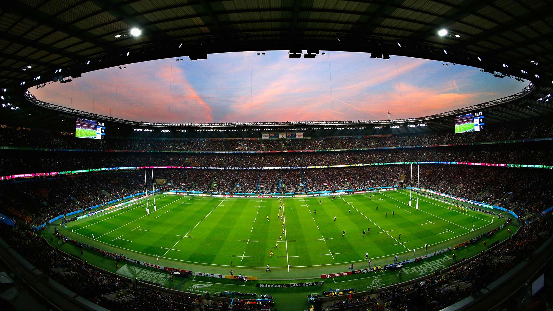 球球迷的目 球球迷的目